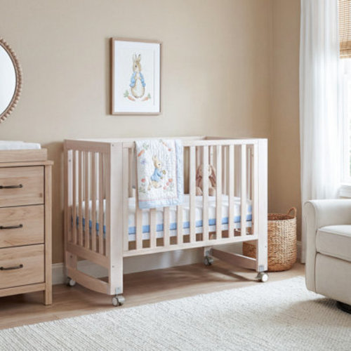 MAMAZING EvoNest 6-in-1 Portable Convertible Cradle to Mini Crib With Removable Wheels & Reviews | Wayfair