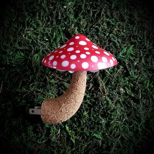 Magical Mushroom Night Light - Toadstool