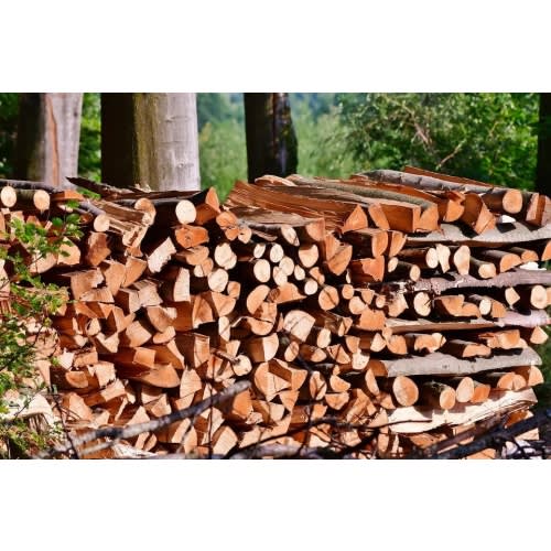 Firewood fund (help us stay warm and cozy this winter!)