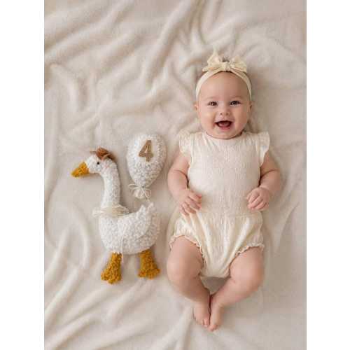 Handmade Goose Monthly Milestone Set, Baby Photo Props, First Year Numbers, Keepsake Gift