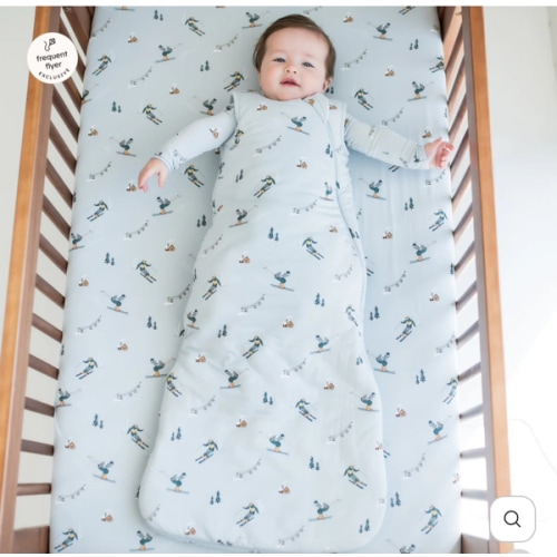 Sleep Bag in Ski 2.5