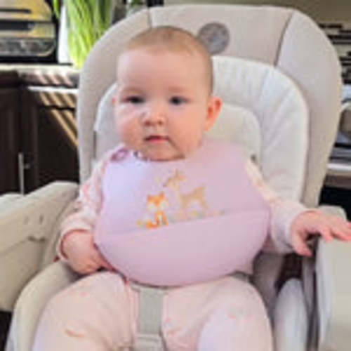 Silicone Baby Bibs | 2 Pack – Baby Bertie