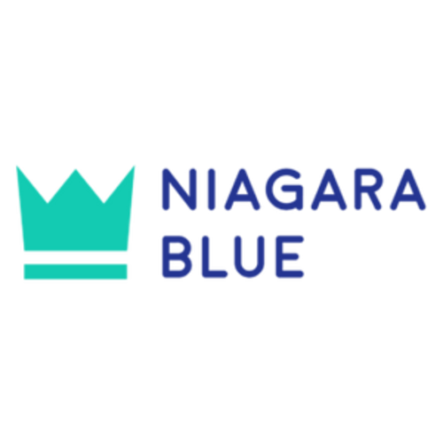 Portable Newborn Lounger | Baby Nest Lounger for Sleeping | Lounger for Infant | Baby Lounger Bassinet | Cribbly – Niagara Blue