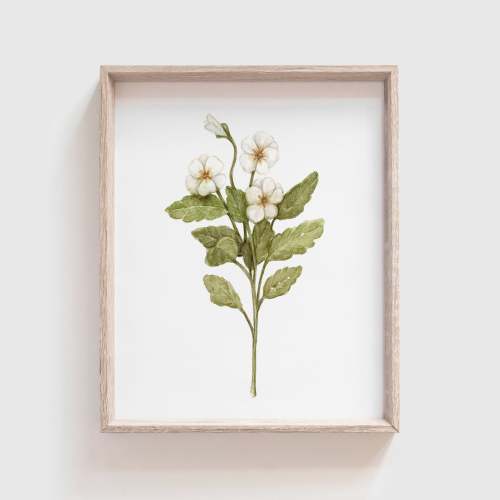 Primrose Art Print | Made in the USA | Fox Hollow Studios – Tabitha Paige