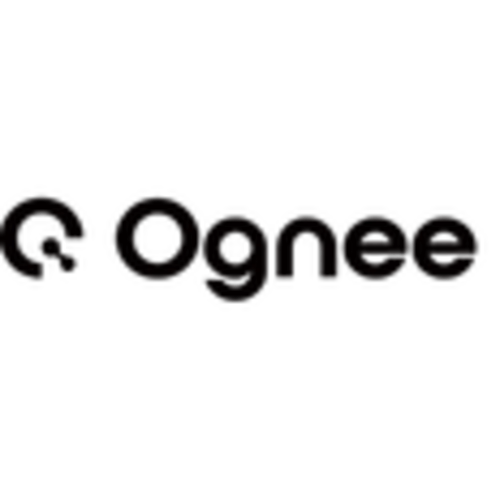 Ognee Car Monitor