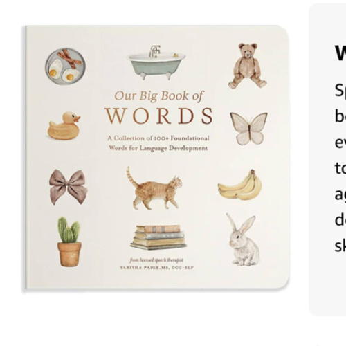 Our Big Book of First Words: A Collection of 100+ Foundational Words for Language Development (Tabitha Paige Children's Book Series)