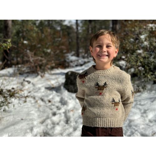 Me & Henry Rudy Christmas Sweater