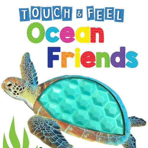 Ocean Friends - Touch and Feel Board Book - Sensory Board Book