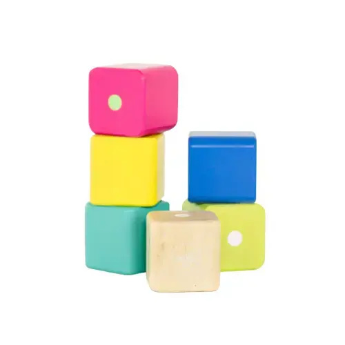 Baby's First Blocks 6 Piece at Tegu Toys