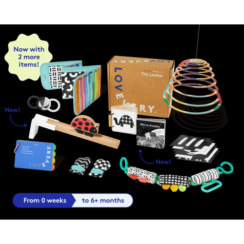 The Play Kits by Lovevery | Montessori Toy Subscription Ages 0-5 | Lovevery