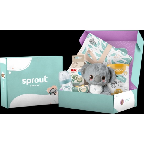 Baby Shower Gift Box