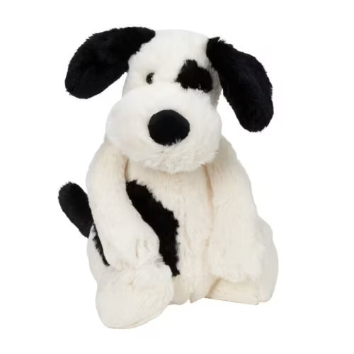 Puppy, Medium