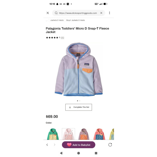 Patagonia Toddlers' Micro D Snap-T Fleece Jacket | Dick's Sporting Goods