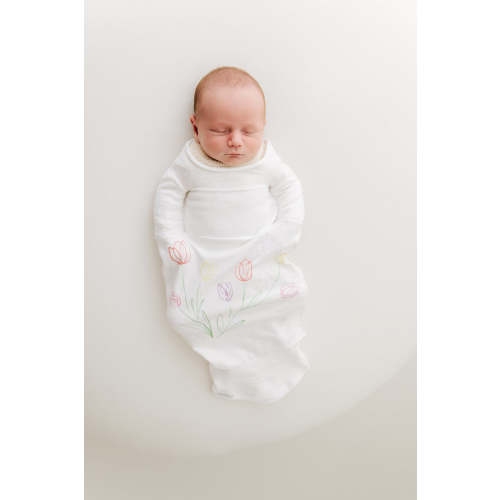 Tulip Time! - Small (6-12 pounds)