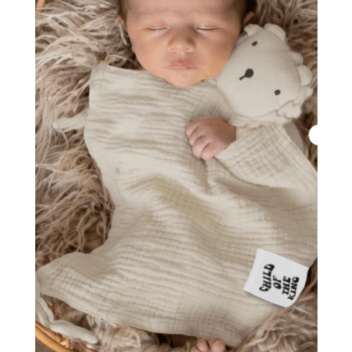 Lion of Judah Blankie – OUR HOUSE ABOVE