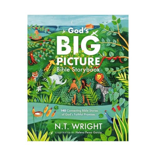 God's Big Picture Bible Storybook - (God's Big Picture Bible Stories) by N T Wright (Hardcover)