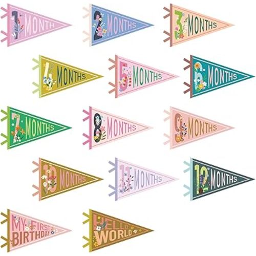 VitalCozy 14 Pcs Baby Milestone Pennant Signs Monthly Milestone Banner Flags Pennant Triangle Banner Age Flag Signs for Boy Girl Newborn Birthday Party Decor(Flower)
