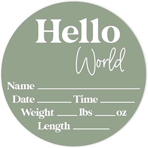 Hello World Newborn Sign - Baby Name Birth Announcement Plaque for Hospital - Photo Prop - Sage Green Nursery Decor - Shower Gift