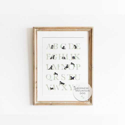 BERNESE MOUNTAIN Dog Nursery Decor. Dog Alphabet Poster. Sage Green ABC Poster. Puppy Nursery Decor for a Baby Boy. Digital Download