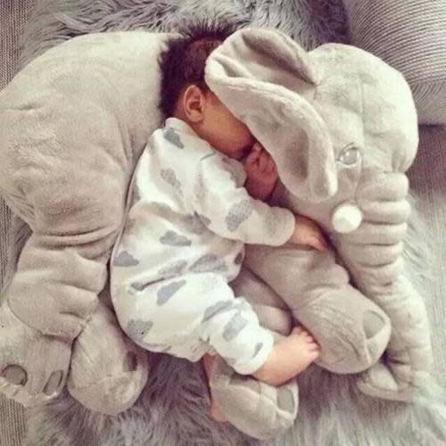 Maternity and Newborn Photos