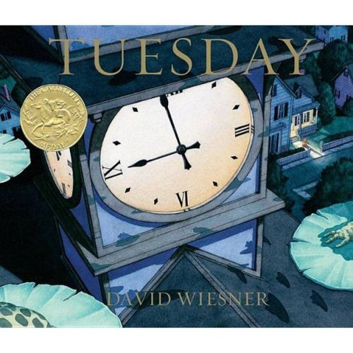 Tuesday - by David Wiesner