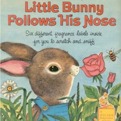 Little Bunny Follows His Nose (Scented Storybook)