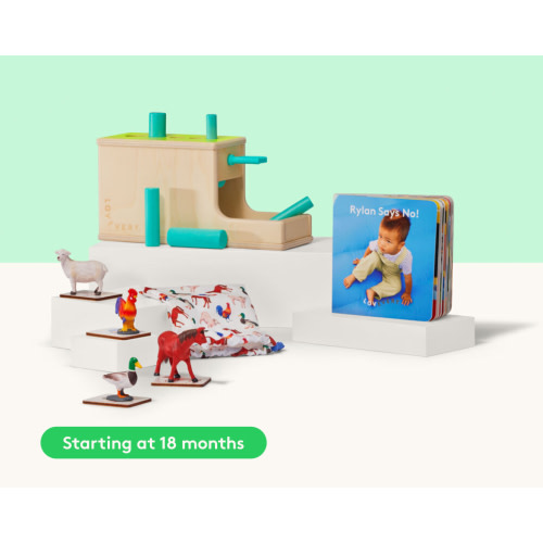 Think It Out Mini Kit | Early Math Toys for 18+ Months Old | Lovevery