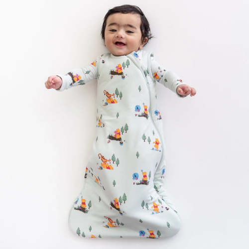 Sleep Bag in Winnie the Pooh Hundred Acre Wood 1.0