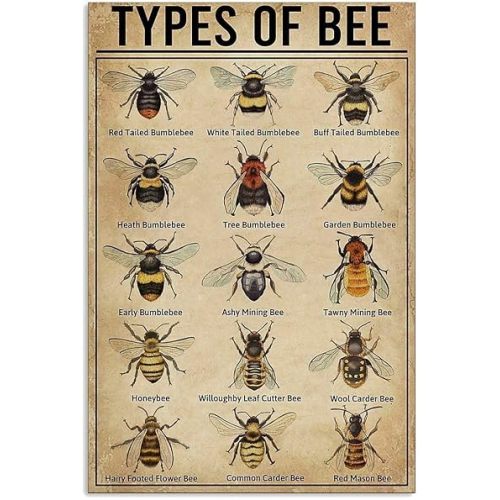 15 Types of Bee Retro Garden Metal Tin Sign Kitchen Restaurant Farm Shopping Mall Bar Cafe Man Cave Farm Wall Decoration Iron Painting Metal Plate 8x12inch