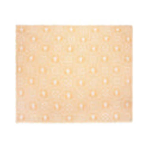 Sunshine Turtle - PARTY BLANKET™ | Sand Cloud