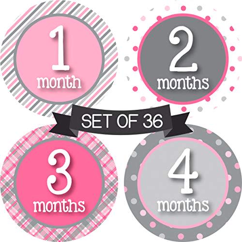 Baby Girl Monthly Stickers - Milestone Stickers Girl - Month Stickers for Baby Girl - Baby Monthly Milestone Stickers - Baby Month Stickers - Baby Stickers for Each Month - Month Milestones for Baby