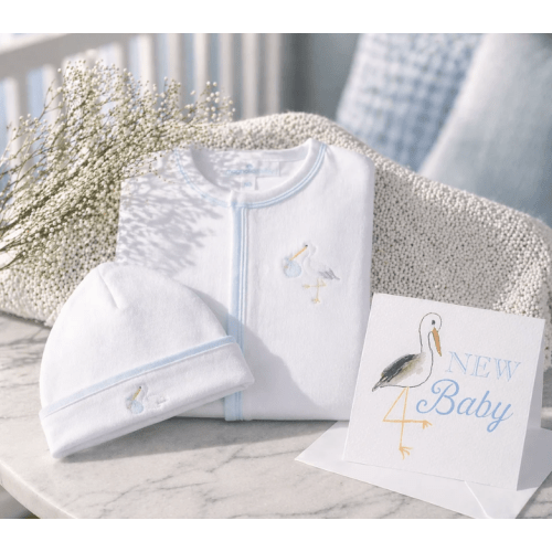 Baby Boy Vintage Stork Footie Gift Set, Newborn