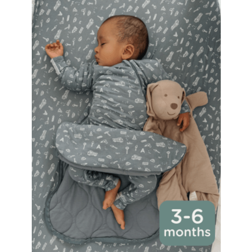 Swaddle Sleep Sack - Mini Floral / 2.5 TOG