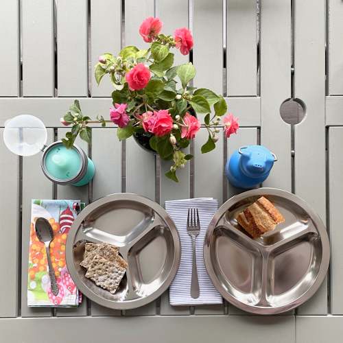 Onyx Divided Kids Stainless Steel Plate Resusable Stainless Steel Plastic Free Zero Waste Food Storage | sustainable haus mercantile