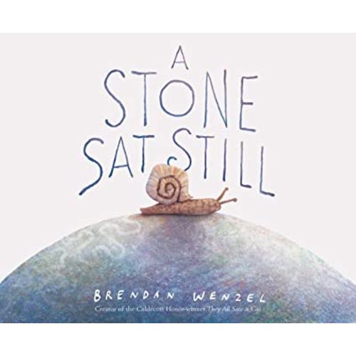 A Stone Sat Still: (Environmental and Nature Picture Book for Kids, Perspective Book for Preschool and Kindergarten, Award Winning Illustrator) (Brendan Wenzel)