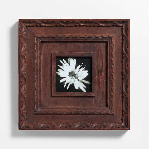 Edinburgh Walnut Wood 5x5 Wall Picture Frame