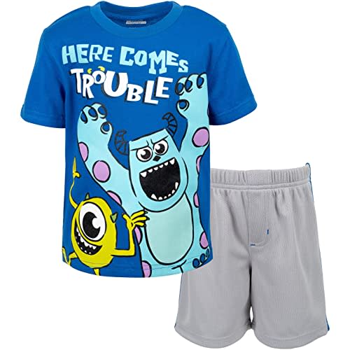 Disney Winnie the Pooh Lion King Monsters Inc. Toy Story Incredibles Lilo & Stitch T-Shirt & Mesh Shorts Infant to Big Kid
