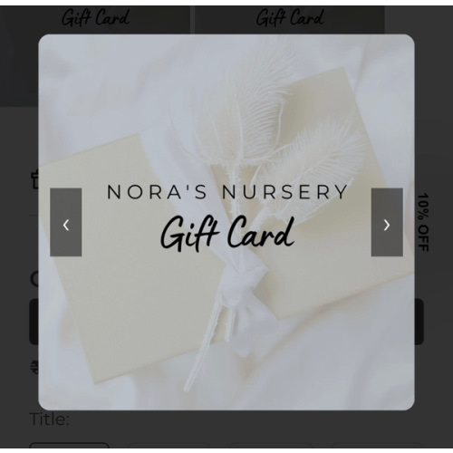 Gift Card - Nora’s Nursery