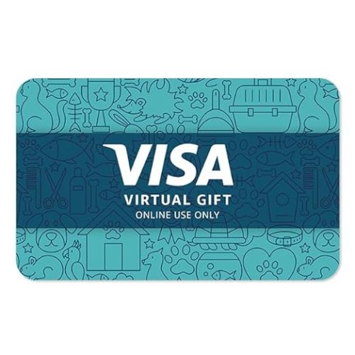 Visa Virtual eGift Card - $100 (plus $5.95 Purchase Fee) | For Online Use Only