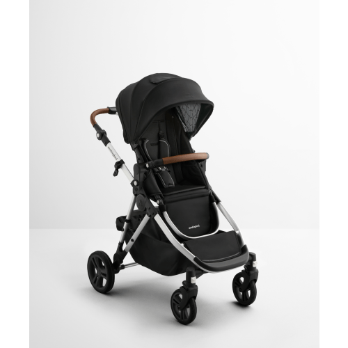 Single-to-Double Stroller 3.0