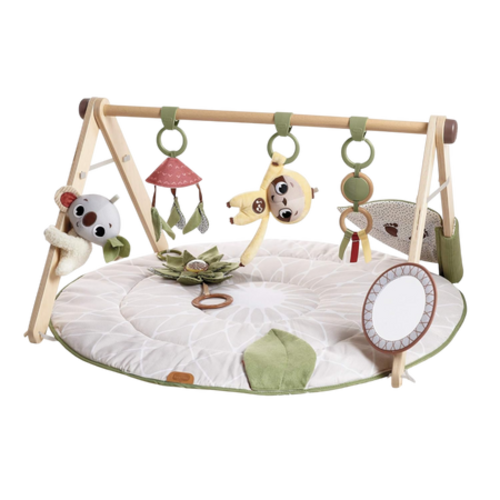 Tiny Love Luxe Developmental Gymini