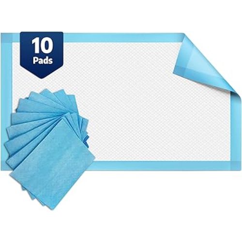 BodyMed Disposable Chux Incontinence Underpads, 23 in. x 36 in., 10 Pads, Standard Absorbency – Discreet, Breathable, and Lightweight – Ideal for Adults, Kids, Elderly, and Pets