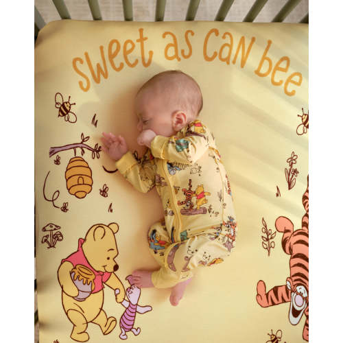 Disney Playtime with Pooh Zippy
