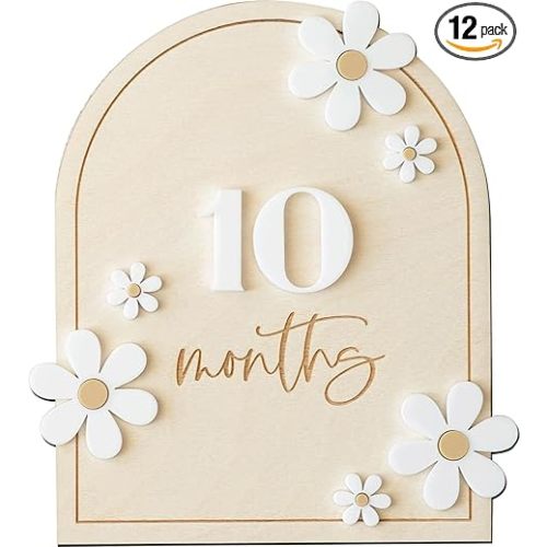 Daisy 3D Baby Monthly Milestone, Wooden Baby Milestone Signs, Monthly Milestone Wood Discs, Baby Milestone Discs (Daisy)