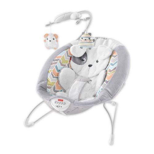 Fisher-Price® Sweet Snugapuppy Dreams Bouncer