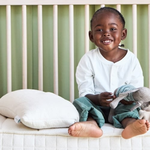Organic Toddler Pillow