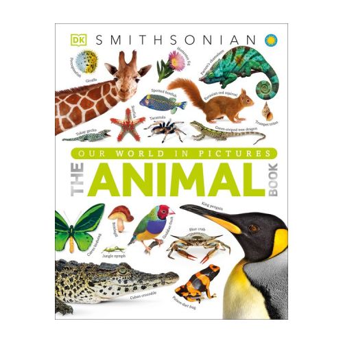 The Animal Book - (DK Our World in Pictures) by David Burnie (Hardcover)