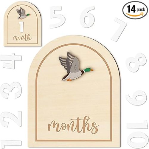 R HORSE Baby Monthly Milestone Cards, 14Pcs 3D Mallard Duck Wooden Monthly Milestone Discs with Number Cards, Newborn Months Signs Announcement Baby Shower Photo Props Gifts for Girls Boys