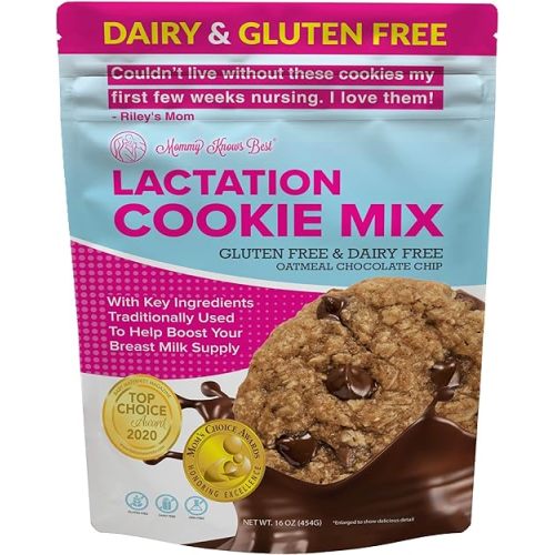 Lactation Cookies Mix - Gluten Free and Dairy Free Oatmeal Breastfeeding Cookie Supplement Support for Breast Milk Supply Increase (Chocolate Chip, 1 Pound)