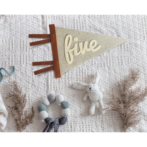 Baby milestone cards, Kids and Baby monthly milestone marker, Personalized pennant, Monthly milestones baby boy, Newborn  Milestone pennant